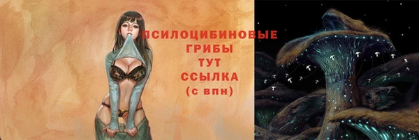 стаф Елабуга