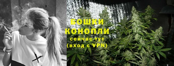 стаф Елабуга