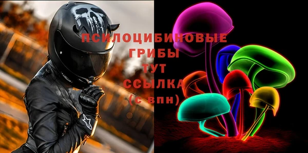 героин Ельня