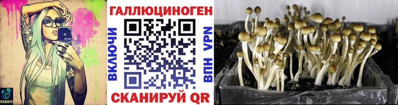 наркота  Зерноград  Галлюциногенные грибы мухоморы 