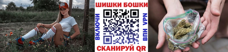 Каннабис план  наркотики  мега зеркало  Зерноград 